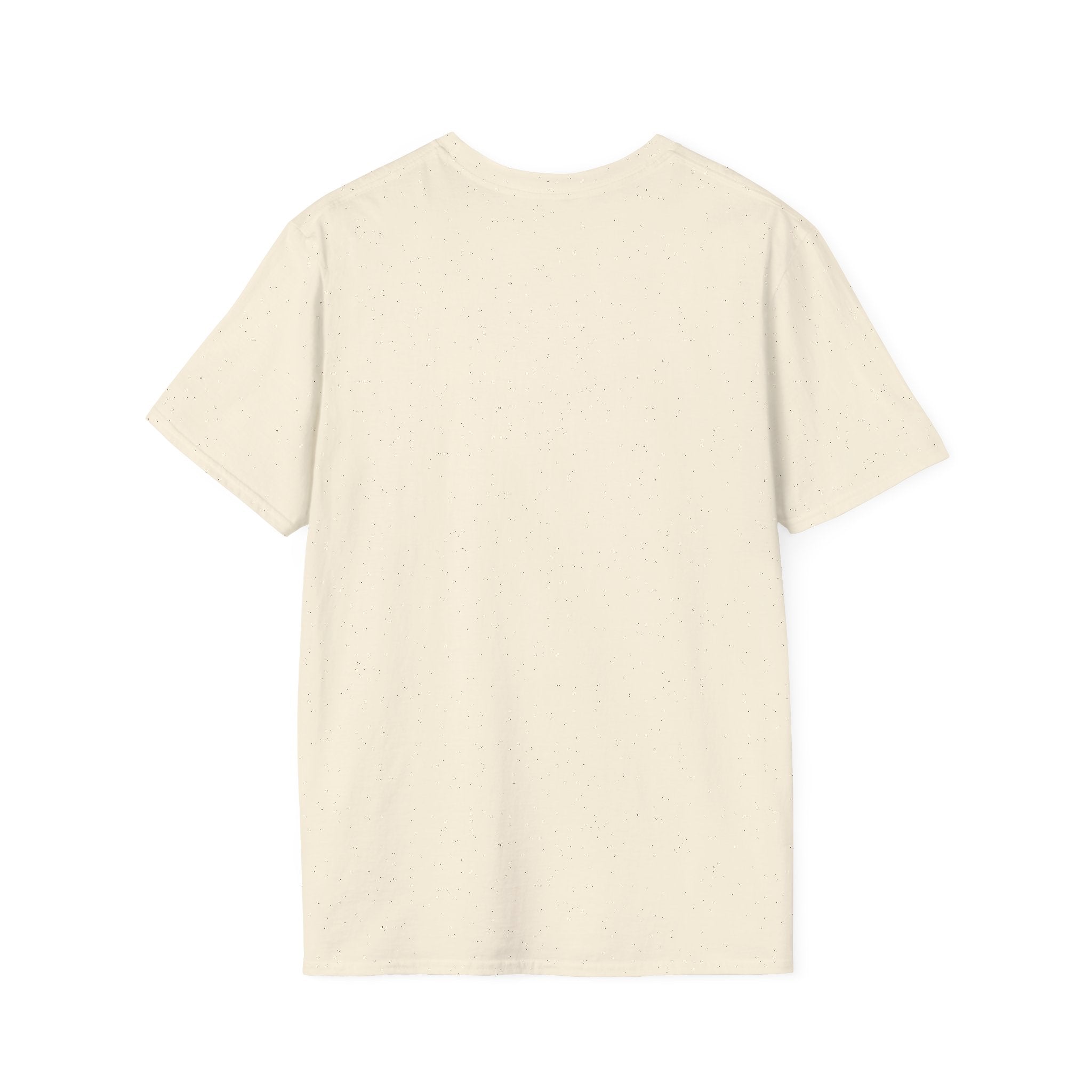 Flying Eagle Graphic T-Shirt | Soaring Eagle Wings Shirt