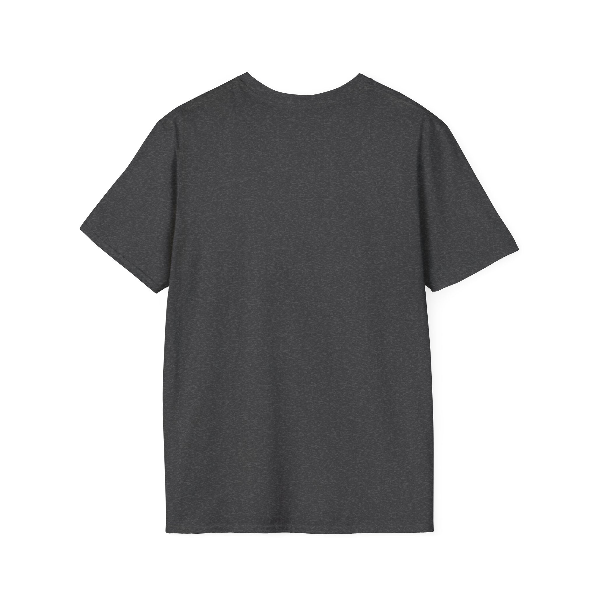 Flying Eagle Graphic T-Shirt | Soaring Eagle Wings Shirt