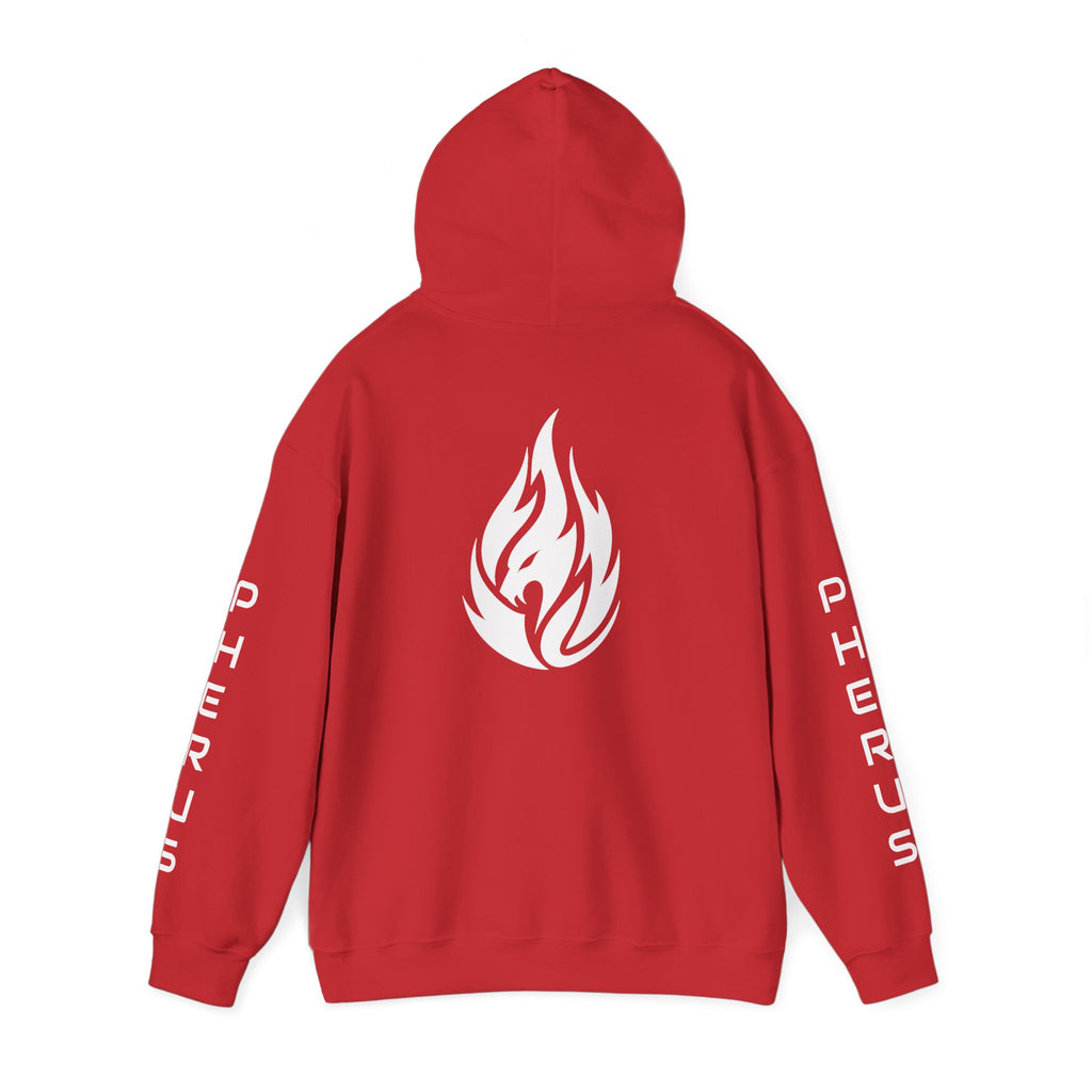 FERAL FLAME  Hoodie — Bold Flame Logo Pullover with Sleeve Text