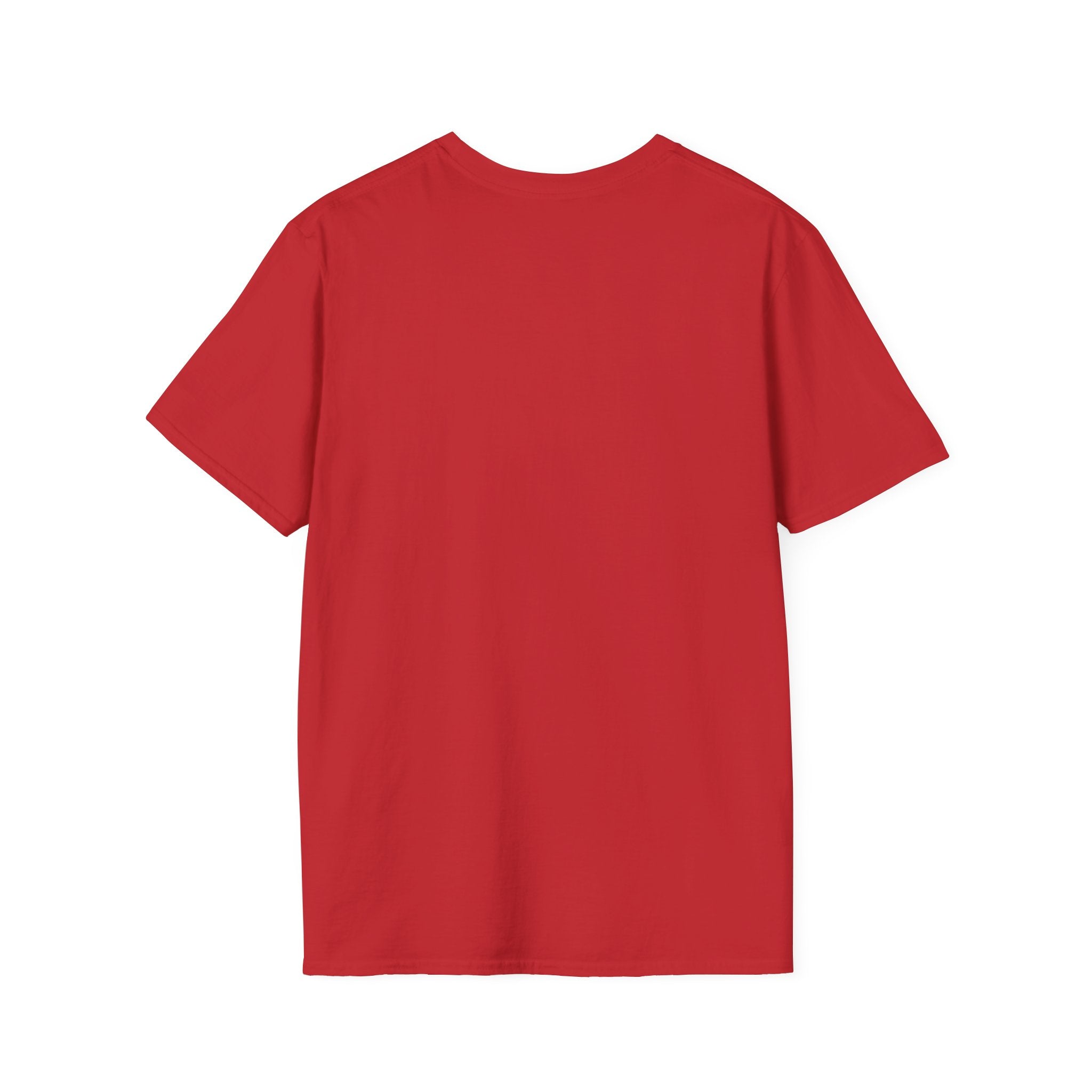 Flying Eagle Graphic T-Shirt | Soaring Eagle Wings Shirt