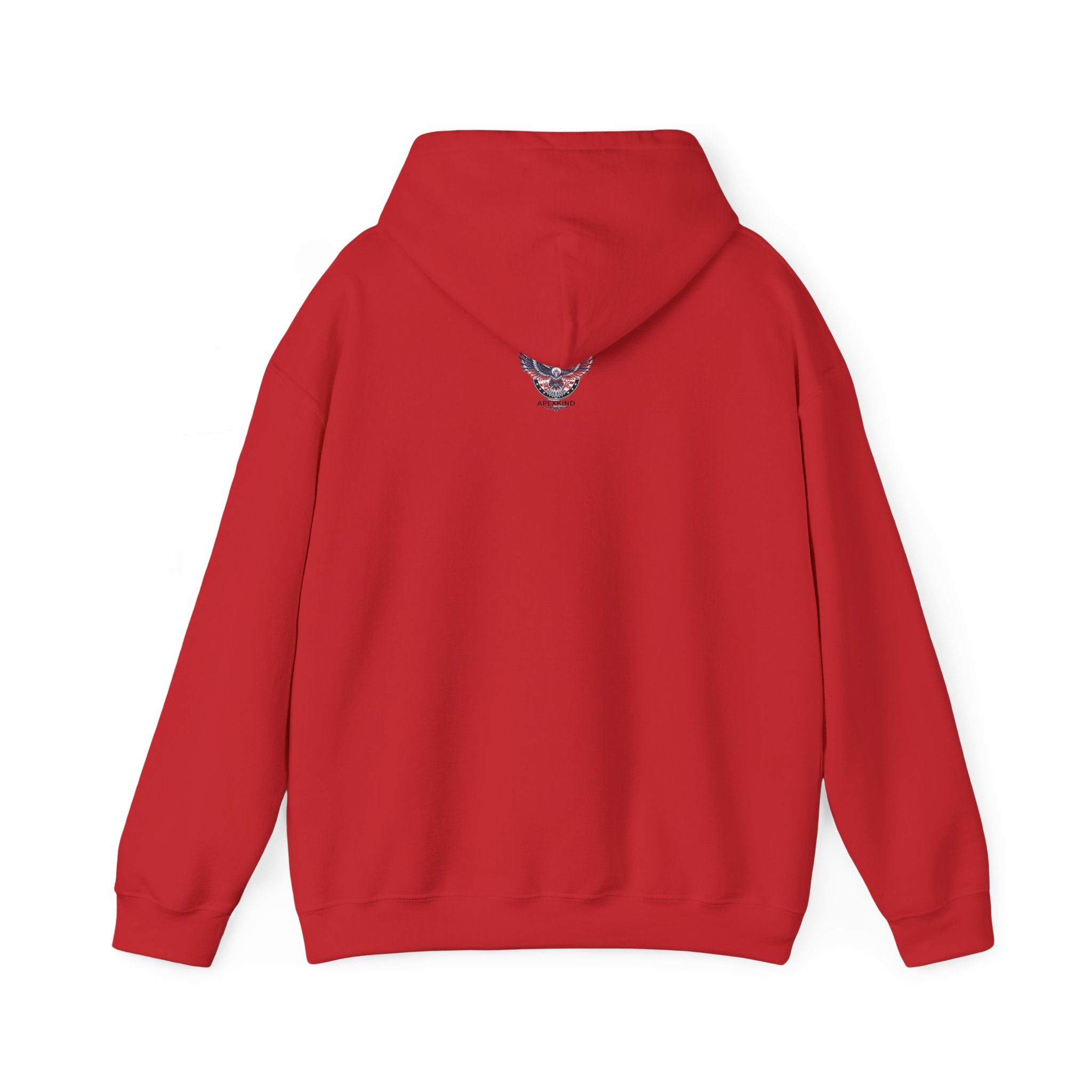 Patriotic Eagle Hoodie — American Flag Wings "APEXKIND" Design