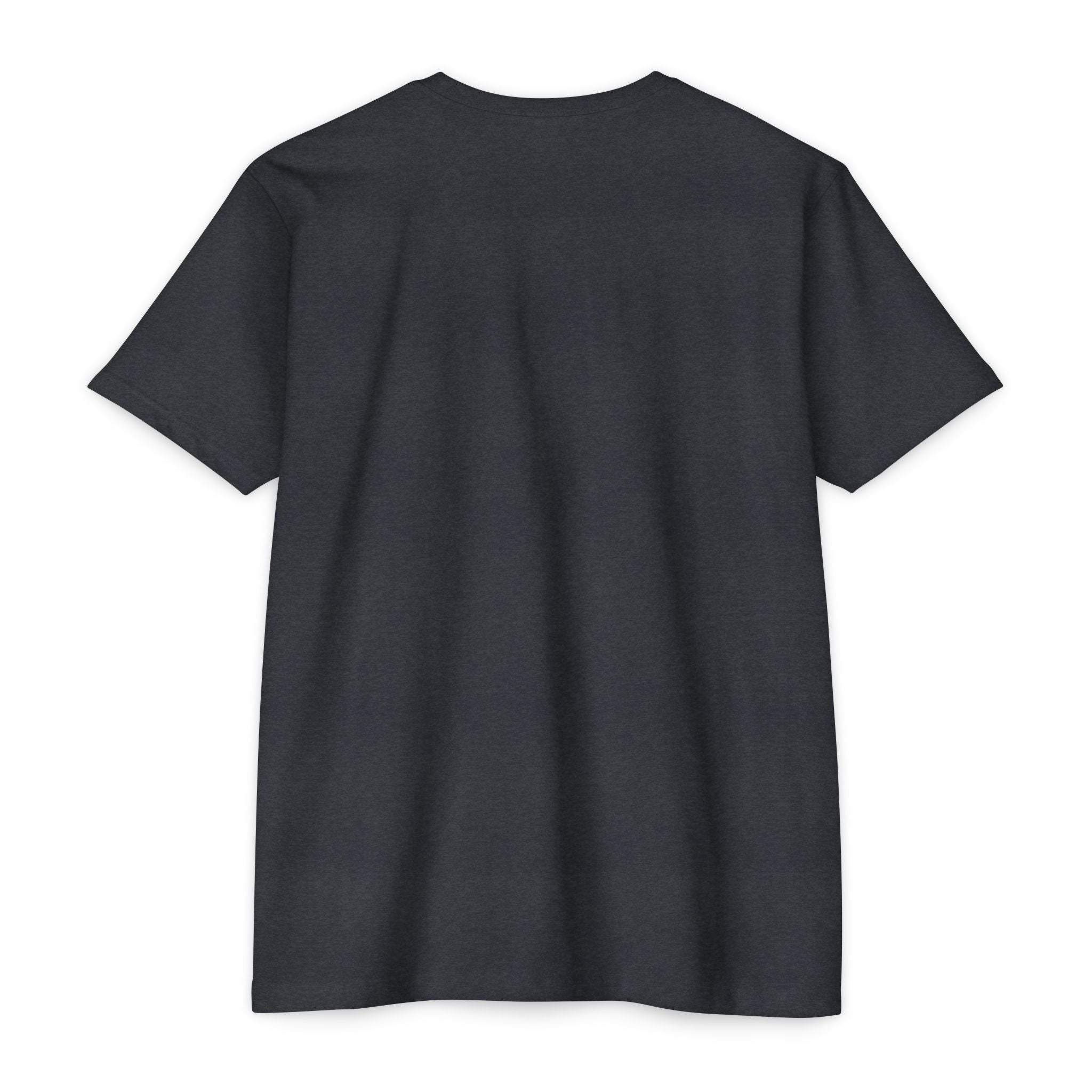 Tribal Flame Lion T-Shirt | Graphic Tee | Unisex
