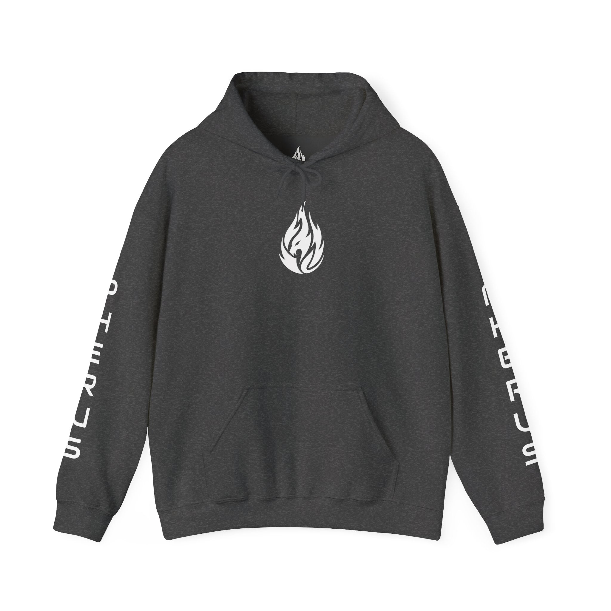 FERAL FLAME  Hoodie — Bold Flame Logo Pullover with Sleeve Text